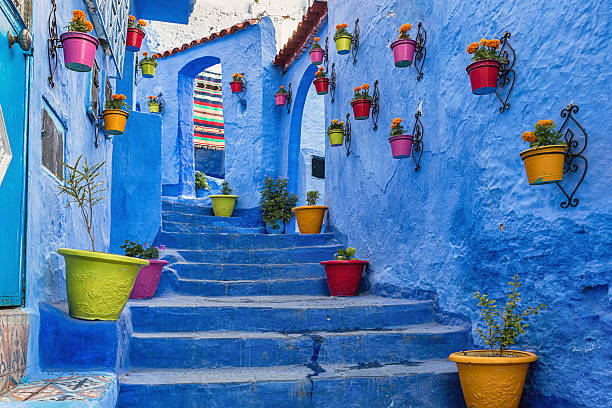 Excursão de um dia de Fez a Chefchaouen